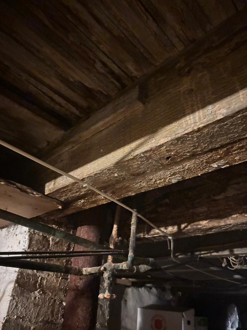 Basement water damage restoration - rapid cleanup in progress
