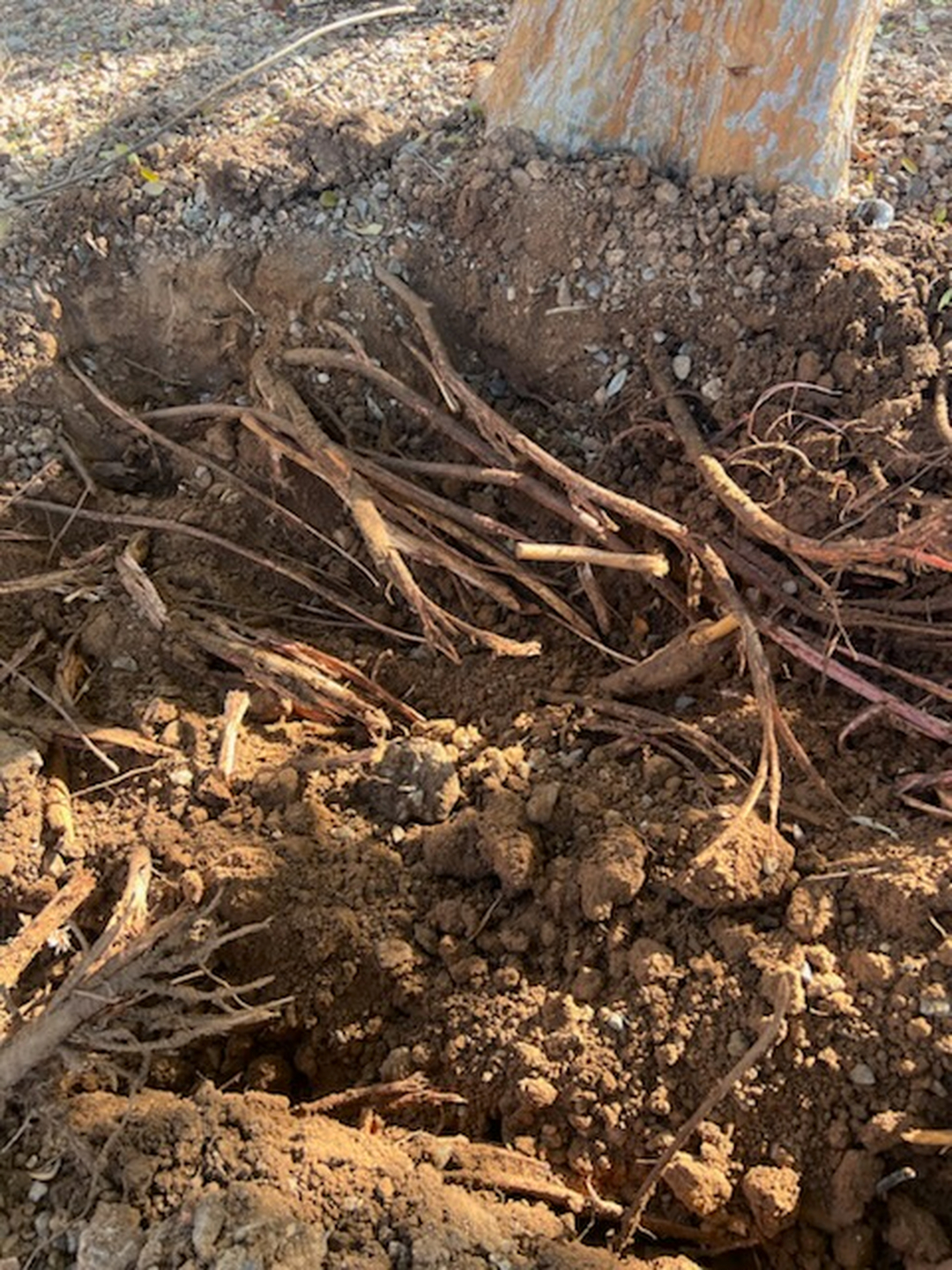 Image 14